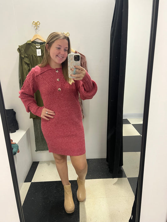 Knit Collared Long Sleeve Dress