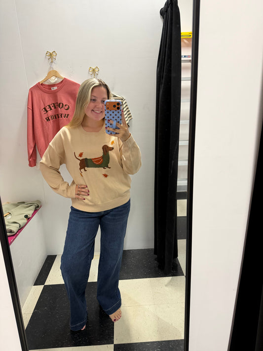 Round Neck Fall Dog Graphic Sweater