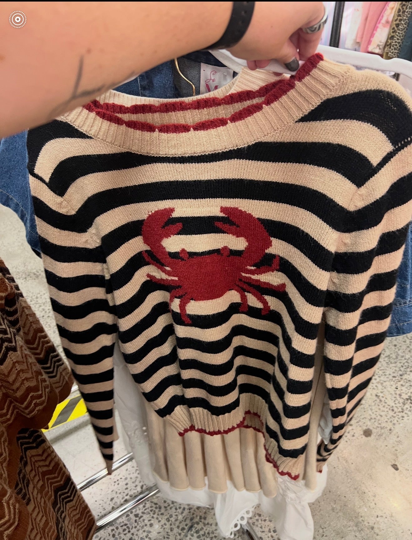 Crab Striped Sweater Top
