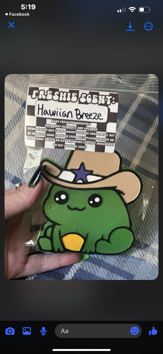 Cowboy Frog Freshie