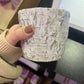 Swan Creek Candles - White Woods Small Round Pot - Warm Cinnamon Buns