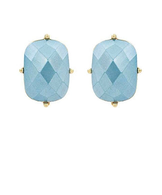 Rectangular Acetate Earrings - Blue