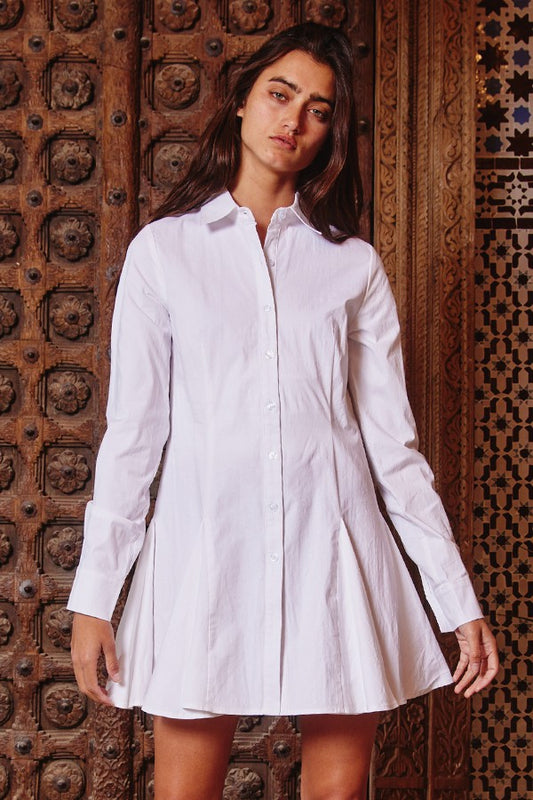 Spread Collared Mini Dress