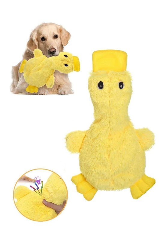Crinkle Squeaky Duck Dog Toy